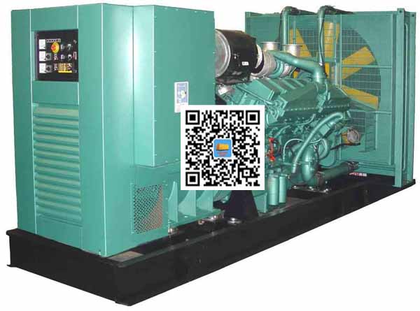 赤坎笼型异步发电机的电力电子控制技术